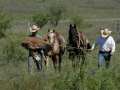 Clement Cowboys (TX).