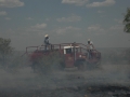 Fighting A Grassfire (TX).