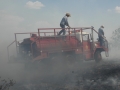 Fighting A Grassfire (TX).