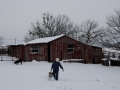 Getting Ready To Feed the Horses - TX.