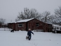 Getting Ready To Feed the Horses - TX.