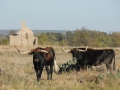 Fort Griffin State Historic Site