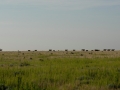 Chico Basin Ranch (CO).