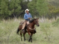 Texas Cowboys.