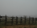 Barn Pens FOG