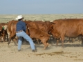 Chico Basin Ranch (CO).