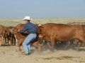 Chico Basin Ranch (CO).