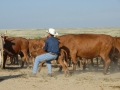 Chico Basin Ranch (CO).