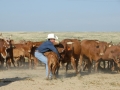 Chico Basin Ranch (CO).