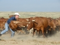 Chico Basin Ranch (CO).