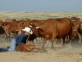 Chico Basin Ranch (CO).