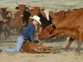 Chico Basin Ranch (CO).