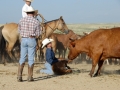 Chico Basin Ranch (CO).