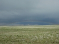 Great Plains Scene (CO).