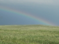 Great Plains Scene (CO).