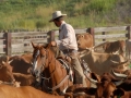 Chico Basin Ranch (CO).