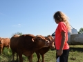 Kara from Alabama Feeding Just Weaned Bulls - June 2015