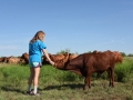 Anna from Alabama Feeding Just Weaned 2014 Bulls