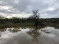 Water Reflection