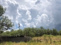 Barn Pens Windmill