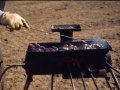 Rocky Mountain Oysters - On the Job.